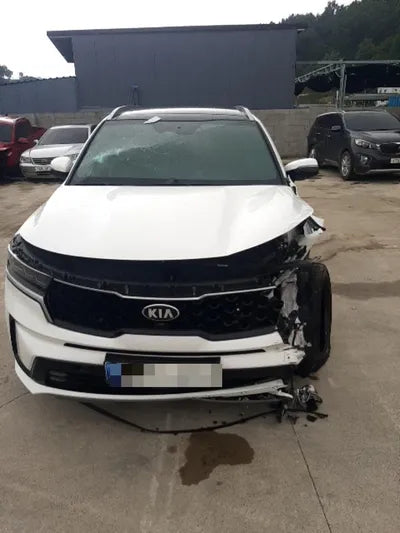 2021 Kia Sorento KNARK81BHMA012892 VIN:KNARK81BHMA012892