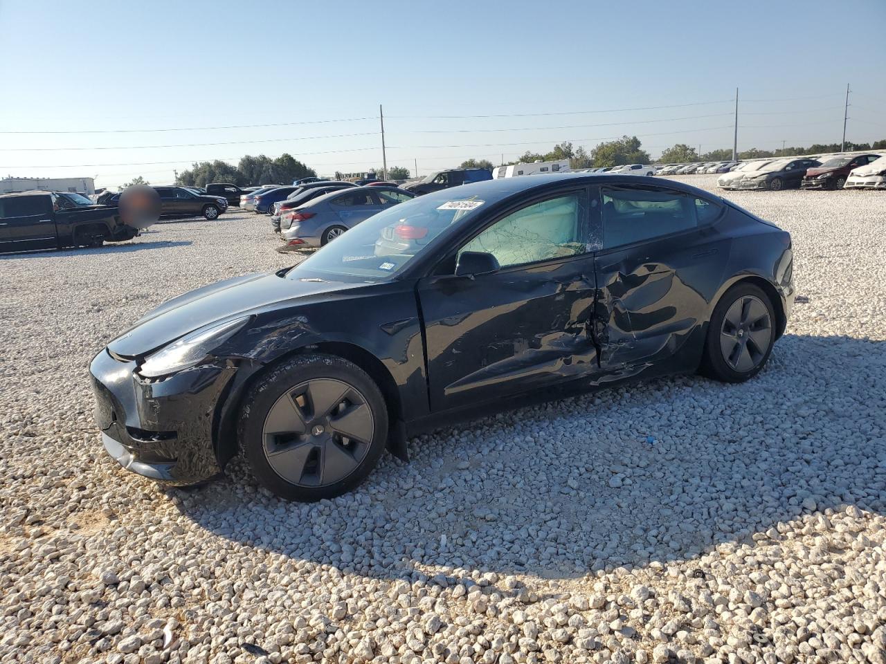 2022 TESLA MODEL 3  VIN:5YJ3E1EBXNF264513