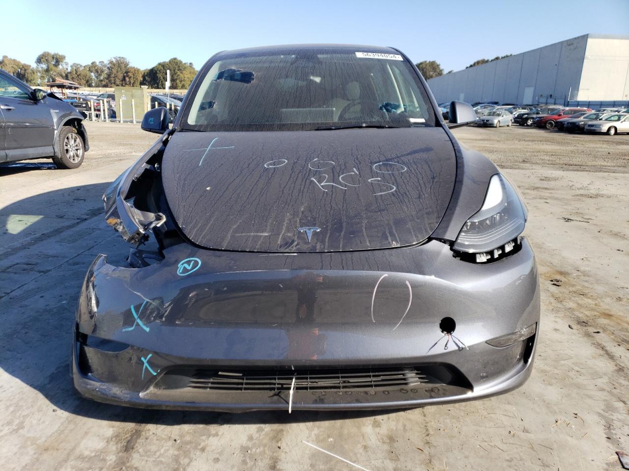 2023 TESLA MODEL Y  VIN:7SAYGDEE5PF935653