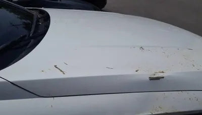 2023 Hyundai Kona VIN: