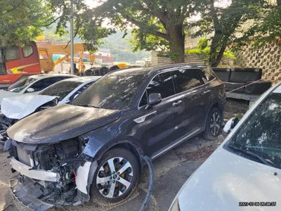 2021 Kia Sorento KNARH81BGMA100573 VIN:KNARH81BGMA100573