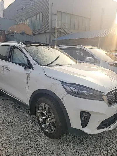 2019 Kia Sorento KNAPH81BBLA612488 VIN:KNAPH81BBLA612488
