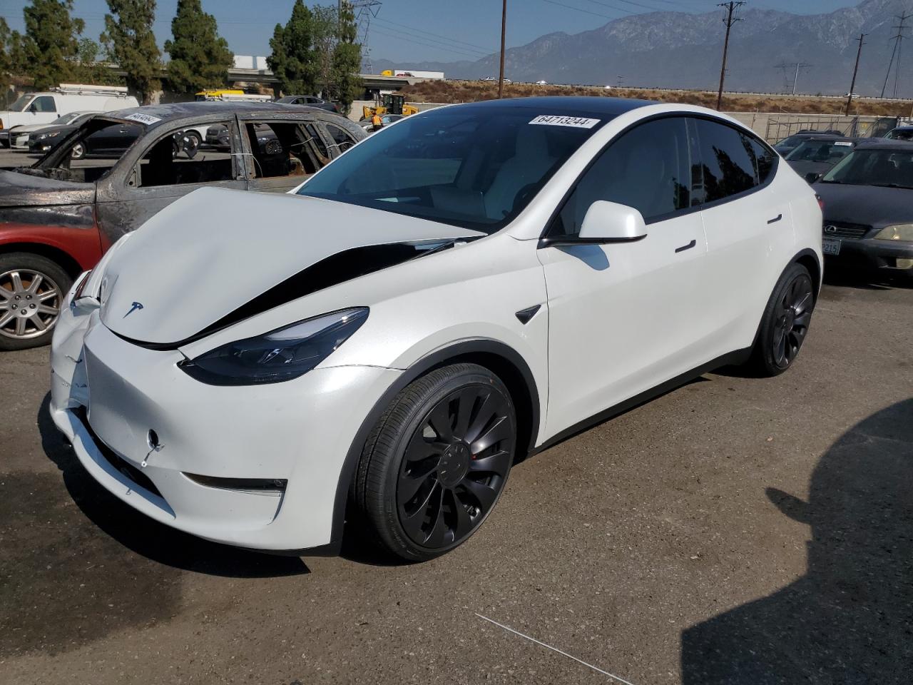 2024 TESLA MODEL Y  VIN:7SAYGDEF2RF117616