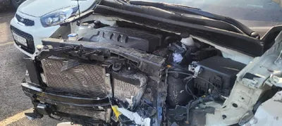 2019 Kia Carnival KNAME81ABKS503293 VIN:KNAME81ABKS503293