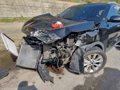 2017 Kia Sorento KNAPH81ABJA396421 VIN:KNAPH81ABJA396421