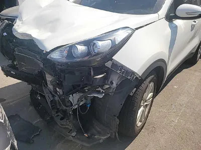 2015 Kia Sportage KNAPM813BGK004859 VIN:KNAPM813BGK004859
