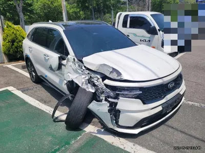 2021 Kia Sorento KNARK81GBMA031286 VIN:KNARK81GBMA031286