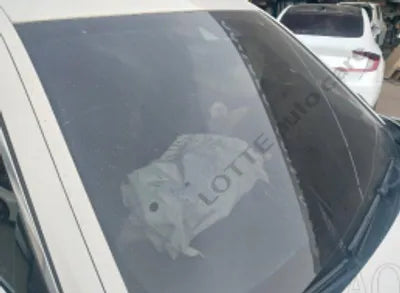 2020 BMW 520 WBAJF3109LWW54738 VIN:WBAJF3109LWW54738