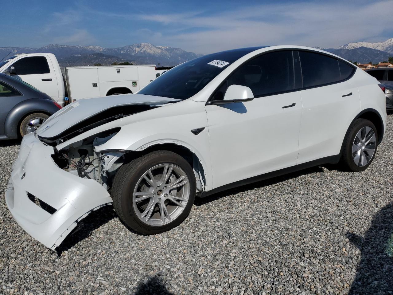 2023 TESLA MODEL Y  VIN:7SAYGDEE4PF808702