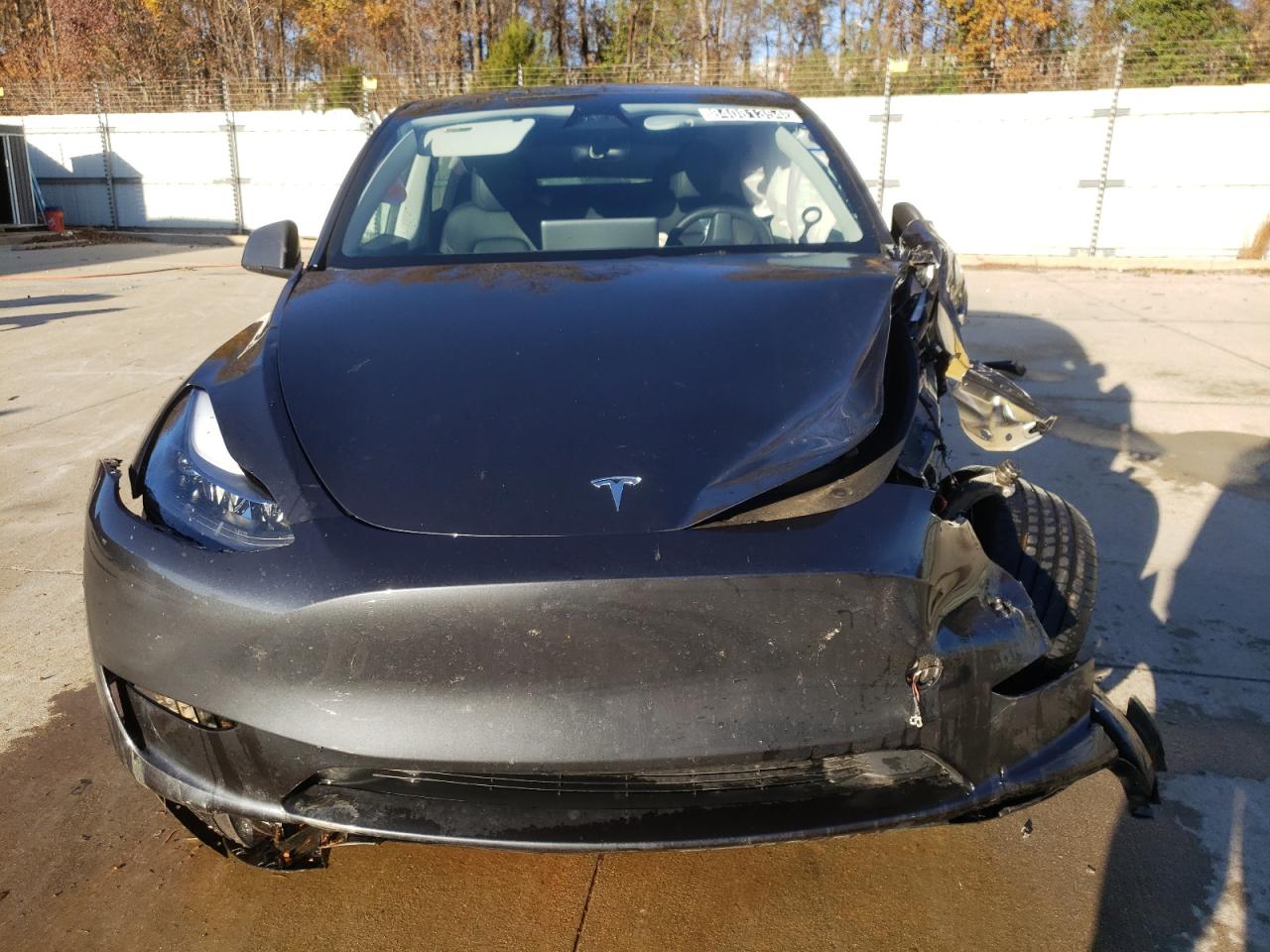 2024 TESLA MODEL Y  VIN:7SAYGAEE7RF004234