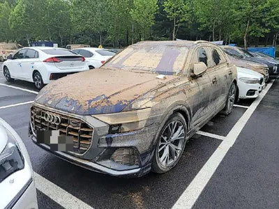2020 Audi 50 WAUZZZF16LD027845 VIN:WAUZZZF16LD027845