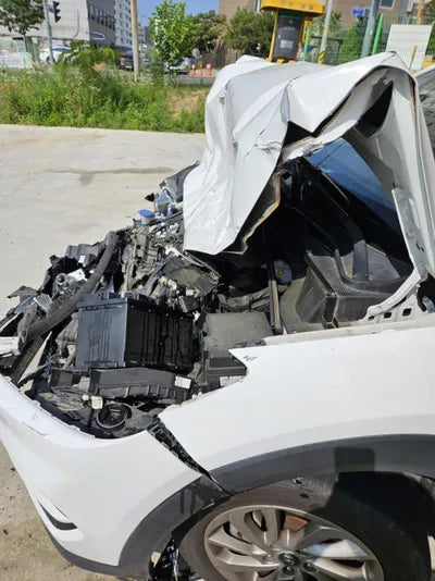 2018 Hyundai Tucson KMHJ2815GJU613631 VIN:KMHJ2815GJU613631