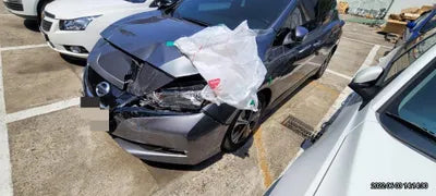 2019 Nissan Leaf 1N4AZ1CP7KC306645 VIN:1N4AZ1CP7KC306645