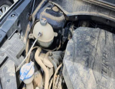 2021 Kia Sorento KNARL81BHMA002814 VIN:KNARL81BHMA002814