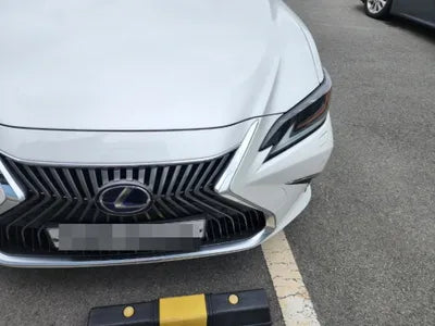 2019 Lexus ES 300 VIN: