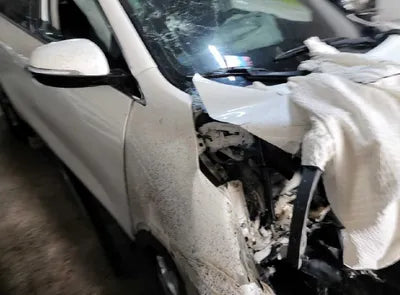 2020 Kia Sorento KNAPS81BBLA570113 VIN:KNAPS81BBLA570113
