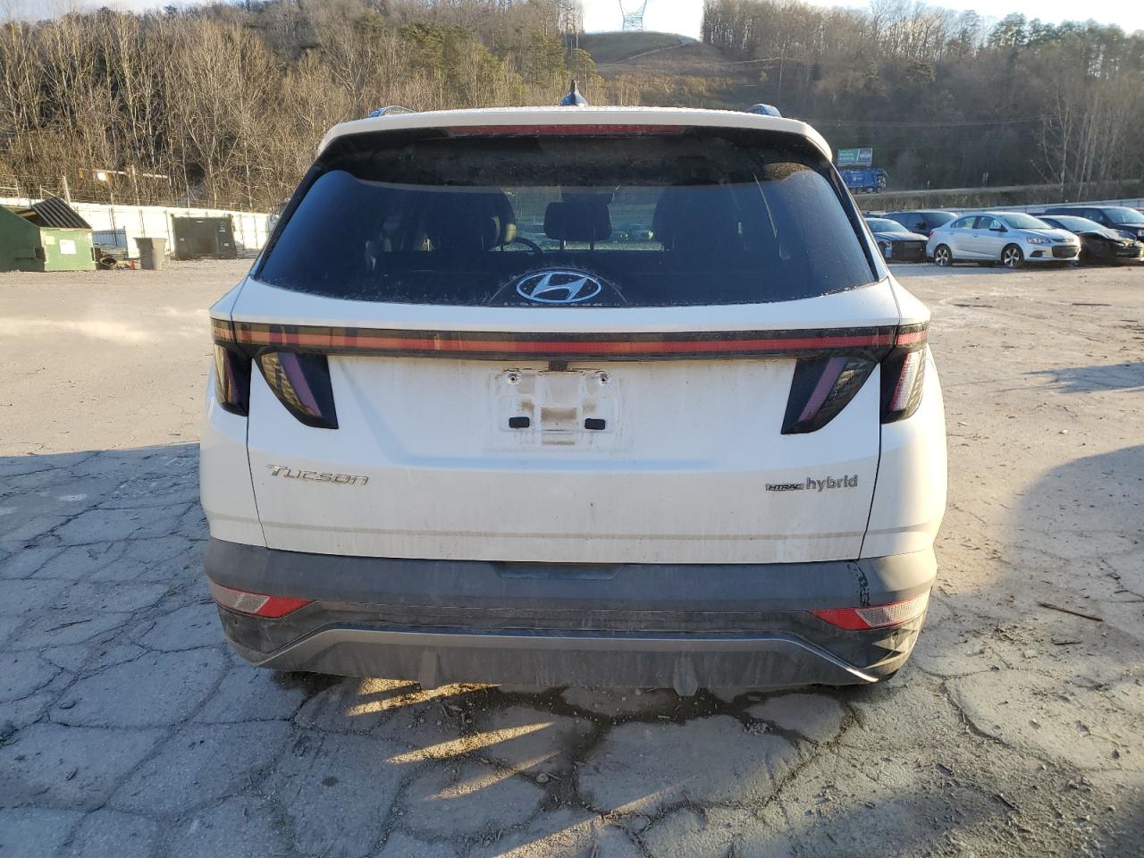 2024 HYUNDAI TUCSON LIMITED VIN:KM8JECD14RU219443