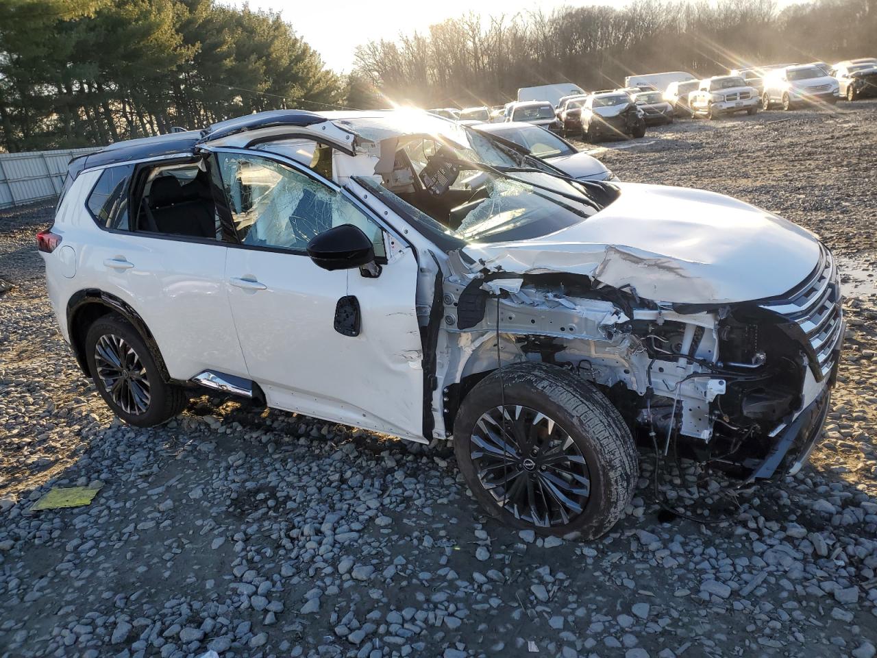 2024 NISSAN ROGUE PLATINUM VIN:JN8BT3DDXRW455774
