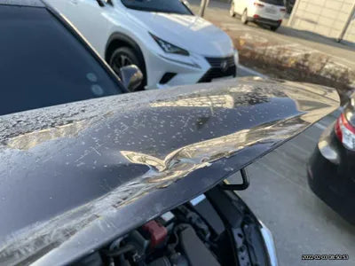 2018 Toyota Camry JTNB11HK0J3058557 VIN:JTNB11HK0J3058557