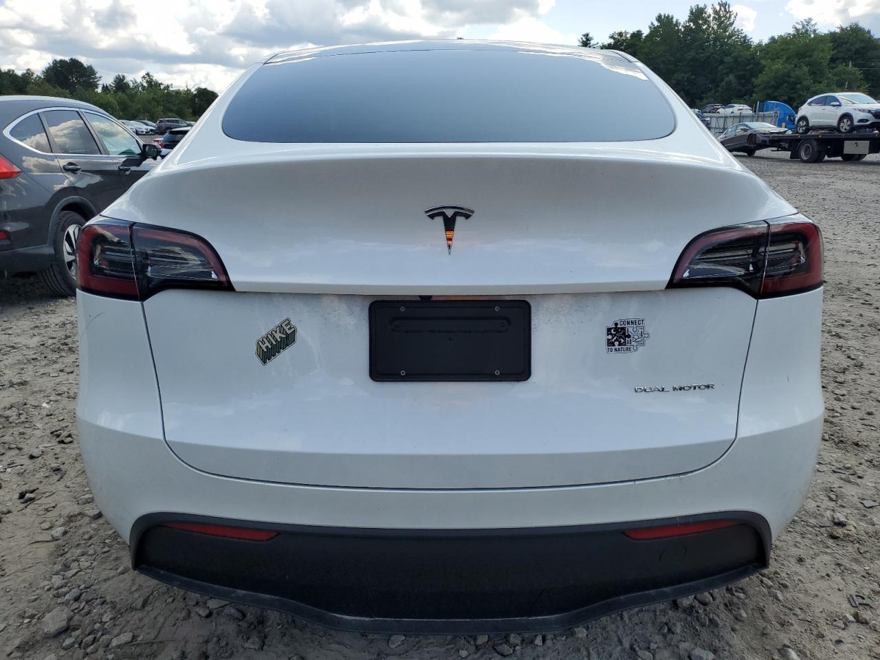 2023 TESLA MODEL Y  VIN:7SAYGDEEXPA117381