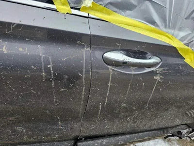 2021 Hyundai Santa FE KMHS281LGMU385254 VIN:KMHS281LGMU385254