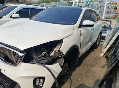 2019 Kia Sorento KNAPK81BDKA504366 VIN:KNAPK81BDKA504366