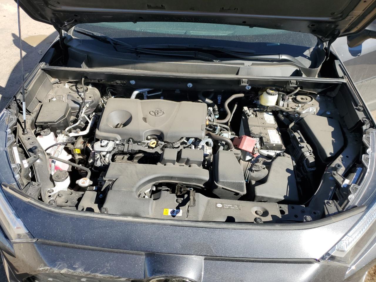 2024 TOYOTA RAV4 XLE VIN:2T3P1RFV7RW434508