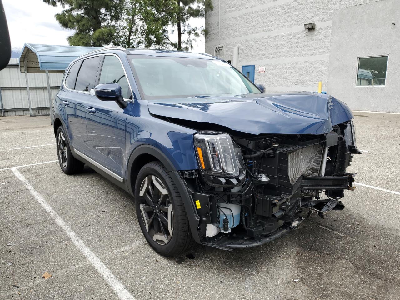 2024 KIA TELLURIDE EX VIN:5XYP3DGC9RG433708