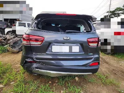 2016 Kia Sorento KNAPS81ABGA223165 VIN:KNAPS81ABGA223165