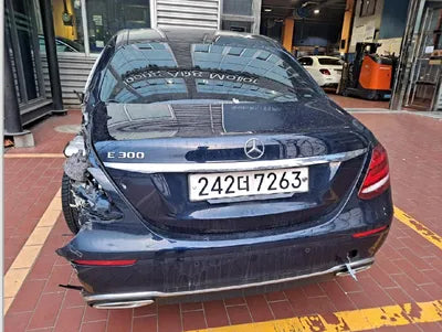 2019 Mercedes-Benz E 300 WDDZF4JB2KA695033 VIN:WDDZF4JB2KA695033