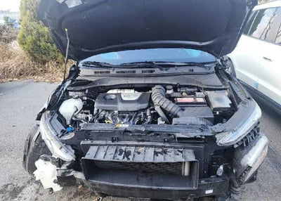 2019 Hyundai Kona KMHK4815GKU356777 VIN:KMHK4815GKU356777