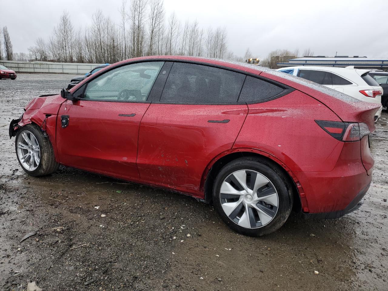 2024 TESLA MODEL Y  VIN:7SAYGDEE5RF013886