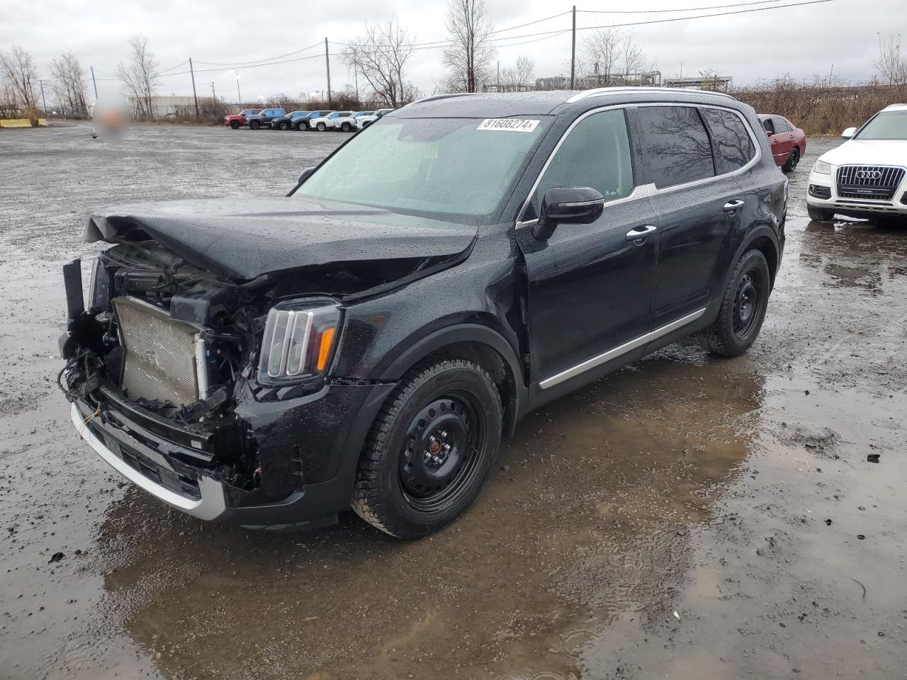 2024 KIA TELLURIDE SX VIN:5XYP5DGC5RG482978