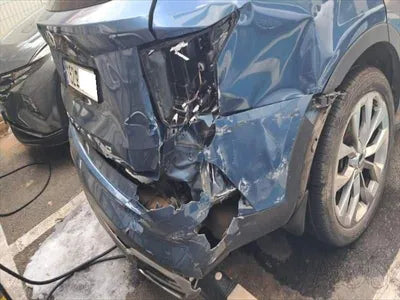 2020 Kia Sorento KNARH81BGMA062553 VIN:KNARH81BGMA062553