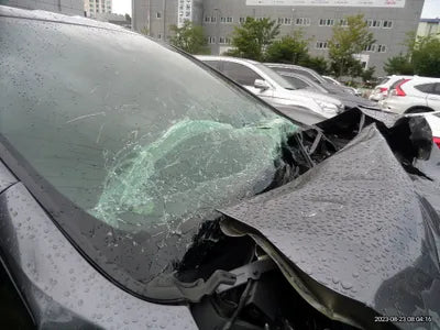 2019 Honda Odyssey 872KM5KBRL6880KB6 VIN:872KM5KBRL6880KB6