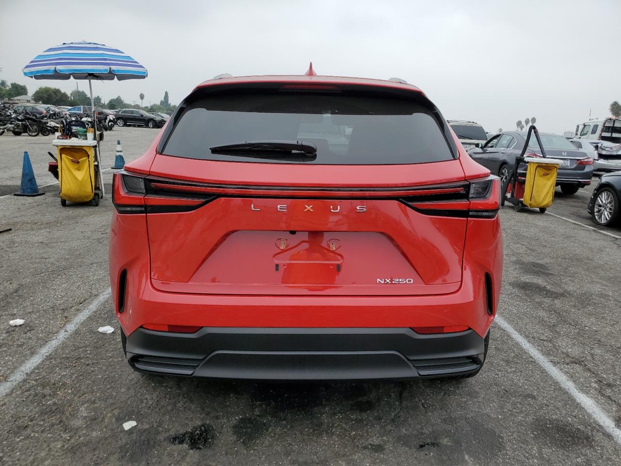 2024 LEXUS NX 250 BASE VIN:JTJADCAZ3R2009717