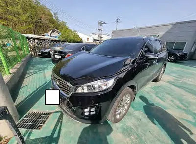 2017 Kia Sorento KNAPH81ABHA295841 VIN:KNAPH81ABHA295841