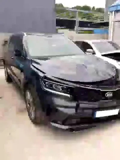 2020 Kia Sorento KNARH81BGMA053875 VIN:KNARH81BGMA053875