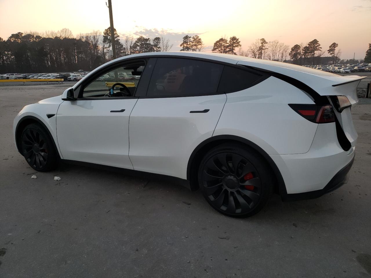 2023 TESLA MODEL Y  VIN:7SAYGDEF2PF754065