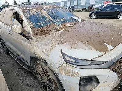 2018 Hyundai Santa FE NONE VIN: