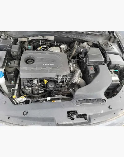 2017 Kia K5 KNAGW415GHA111667 VIN:KNAGW415GHA111667