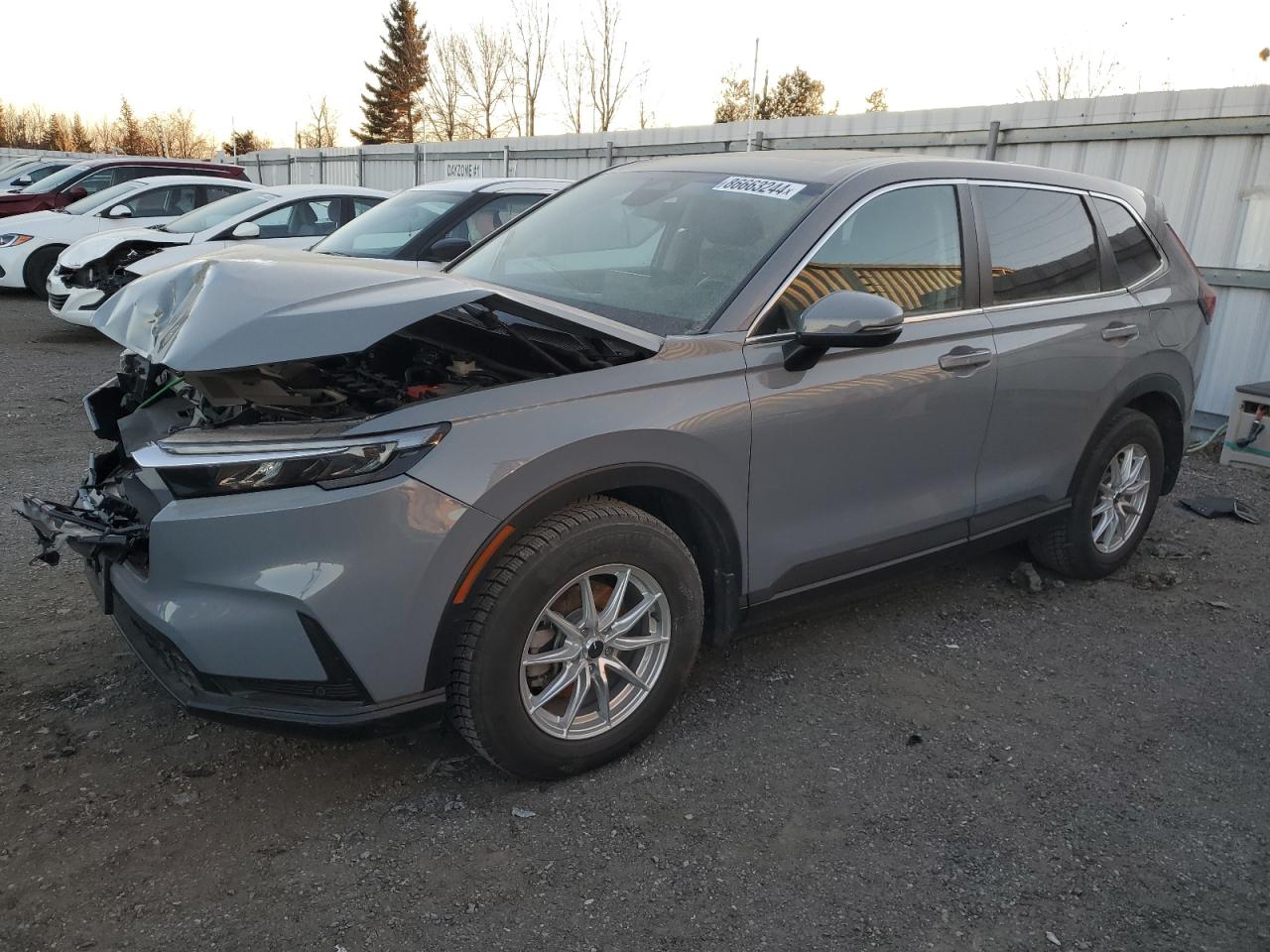 2023 HONDA CR-V EXL VIN:2HKRS4H79PH124100