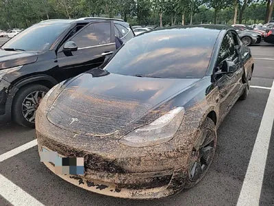2021 Tesla Model 3 VIN: