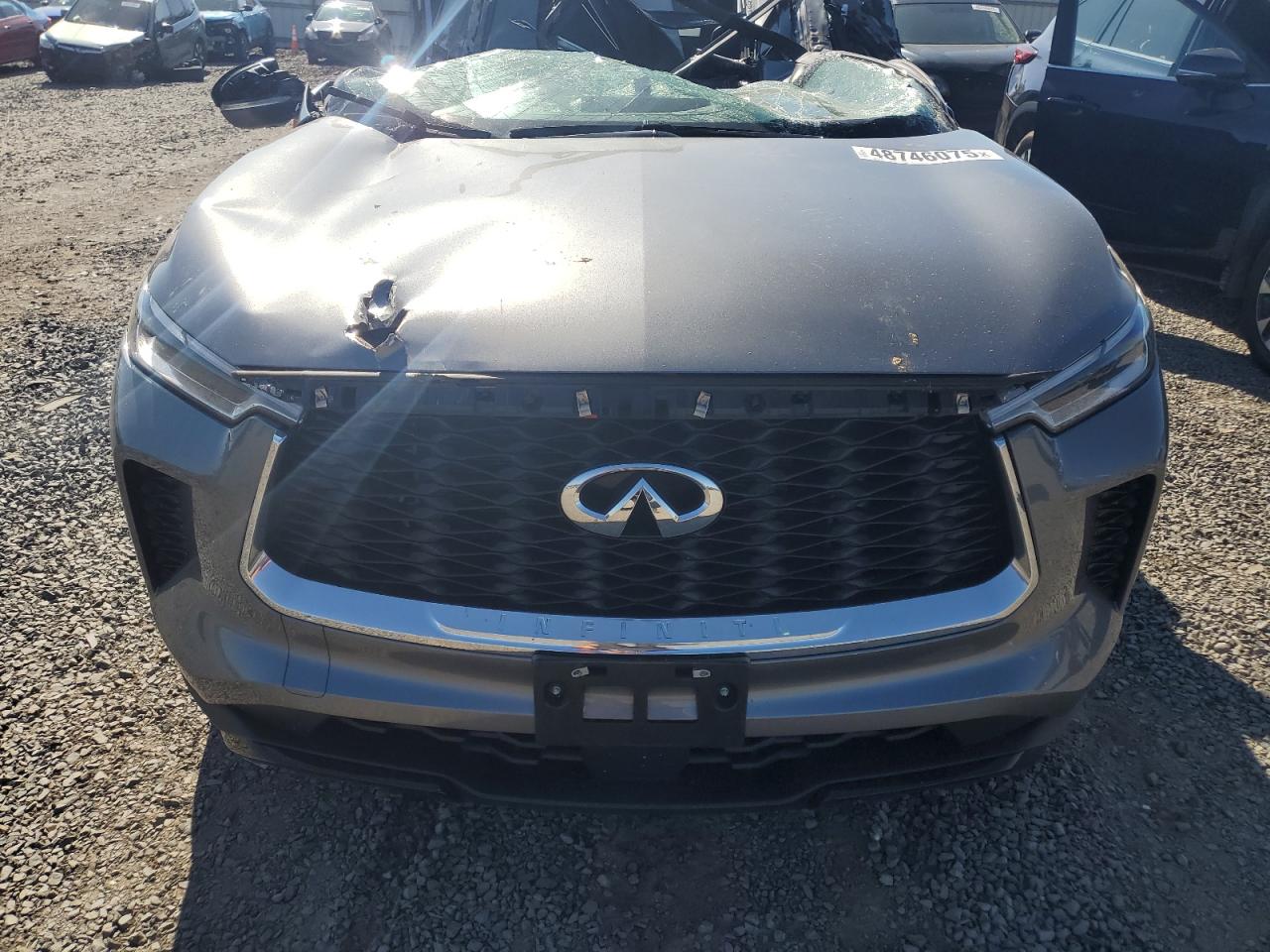2024 INFINITI QX60 PURE VIN:5N1DL1ES1RC346333