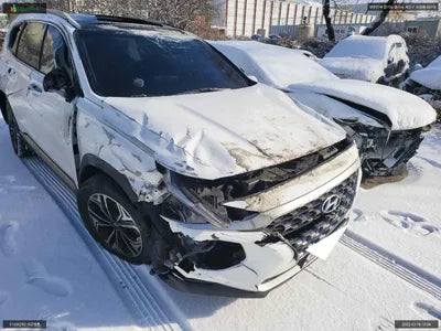 2019 Hyundai Santa FE KMHS381ABKU177949 VIN:KMHS381ABKU177949