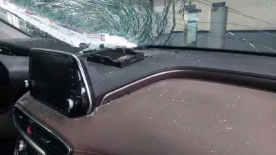 2020 Hyundai Santa FE KMHS381CBLU261557 VIN:KMHS381CBLU261557