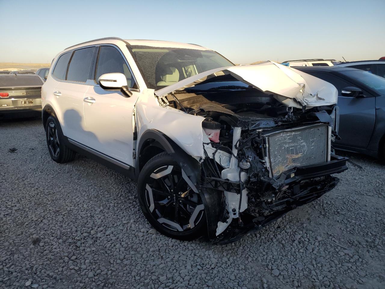 2024 KIA TELLURIDE S VIN:5XYP6DGC4RG554816