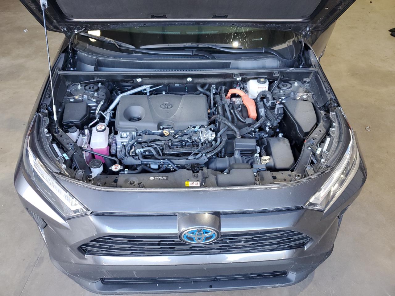 2024 TOYOTA RAV4 XLE VIN:4T3RWRFVXRU128817
