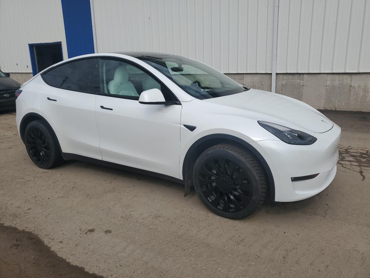 2023 TESLA MODEL Y  VIN:LRWYGDEEXPC228734