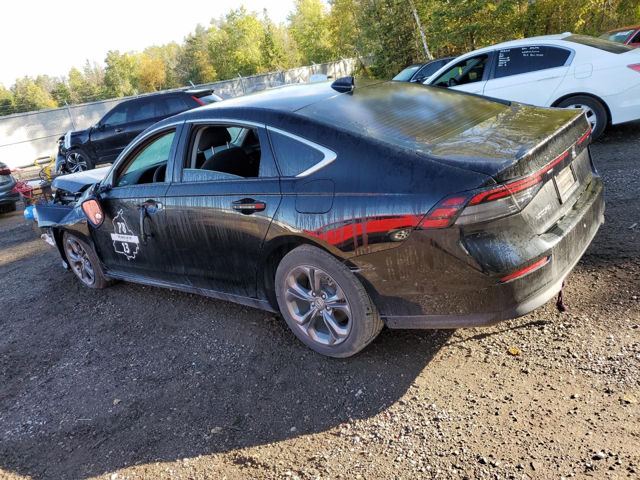 2023 HONDA ACCORD EX VIN:1HGCY1F33PA800701